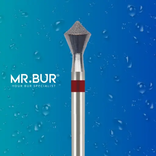 [R1] FG COMPOSITE POLISH OF OCCLUSAL SURFACE