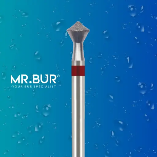 [R2] FG COMPOSITE POLISH OF OCCLUSAL SURFACE